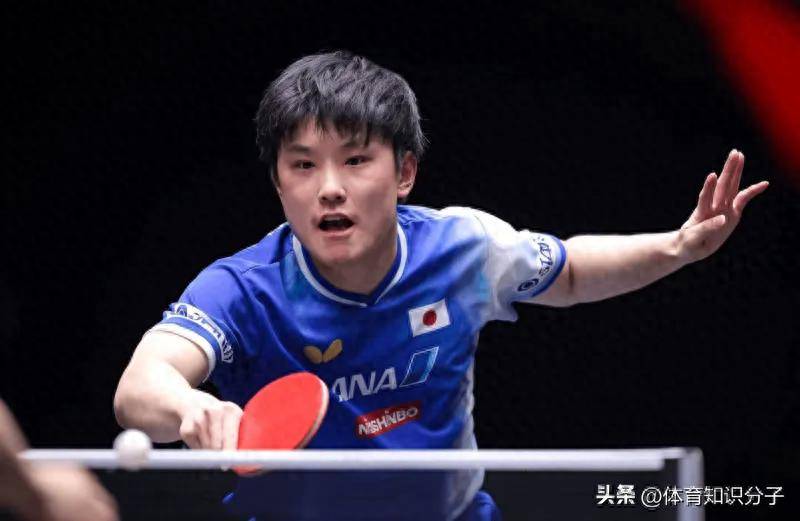关于德国乒乓球队血洗英国乒乓球队，张本智和打破历史纪录的信息