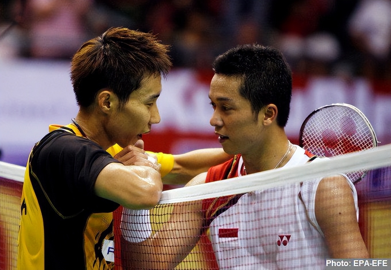 日本羽毛球队完胜中国羽毛球队，陶菲克绝境逆转的简单介绍