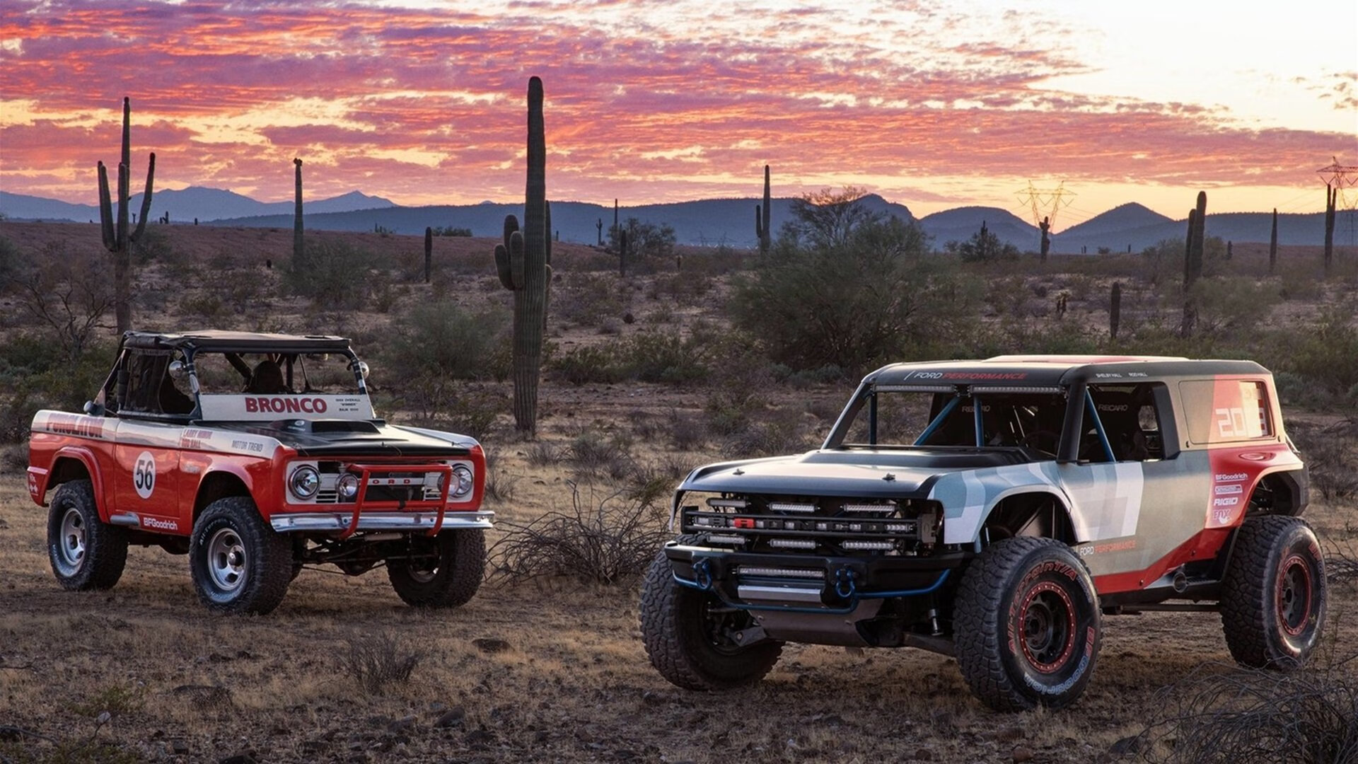 欧文关键先生显威，森林狼强行终结老鹰连胜势头