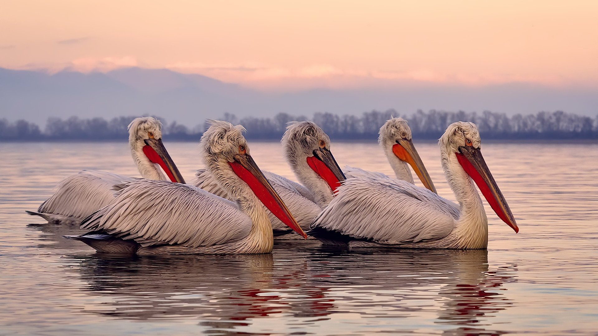 梅西爆发点燃足球激情，AC米兰决胜局客场力克奥地利