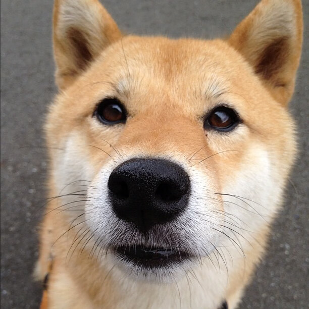 双重绞杀，快船用进攻淹没浙江，爱德华兹冰封对手