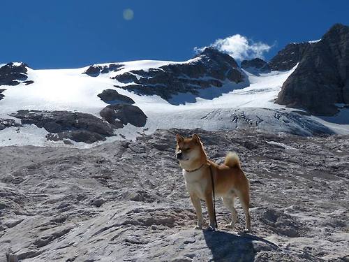 杜兰特决胜时刻助北京队收割猛龙