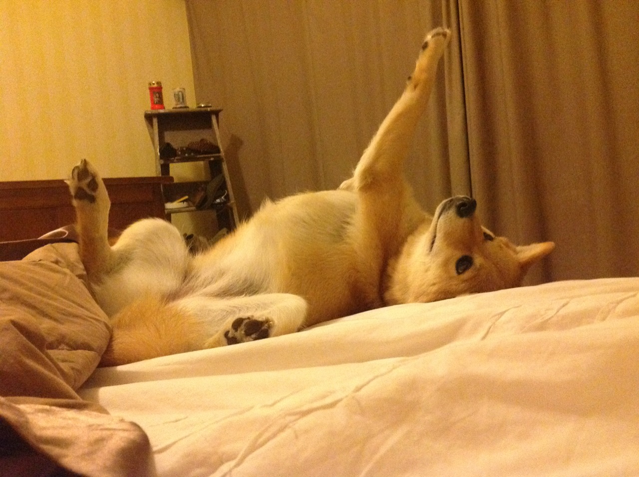 末节11分+窒息封盖!戈贝尔抢七夜打破所有质疑