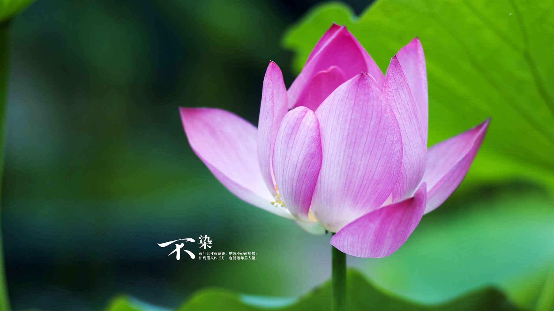 燎原星火,奥亚尔萨瓦尔如何成为2026世界杯之夜的攻防枢纽