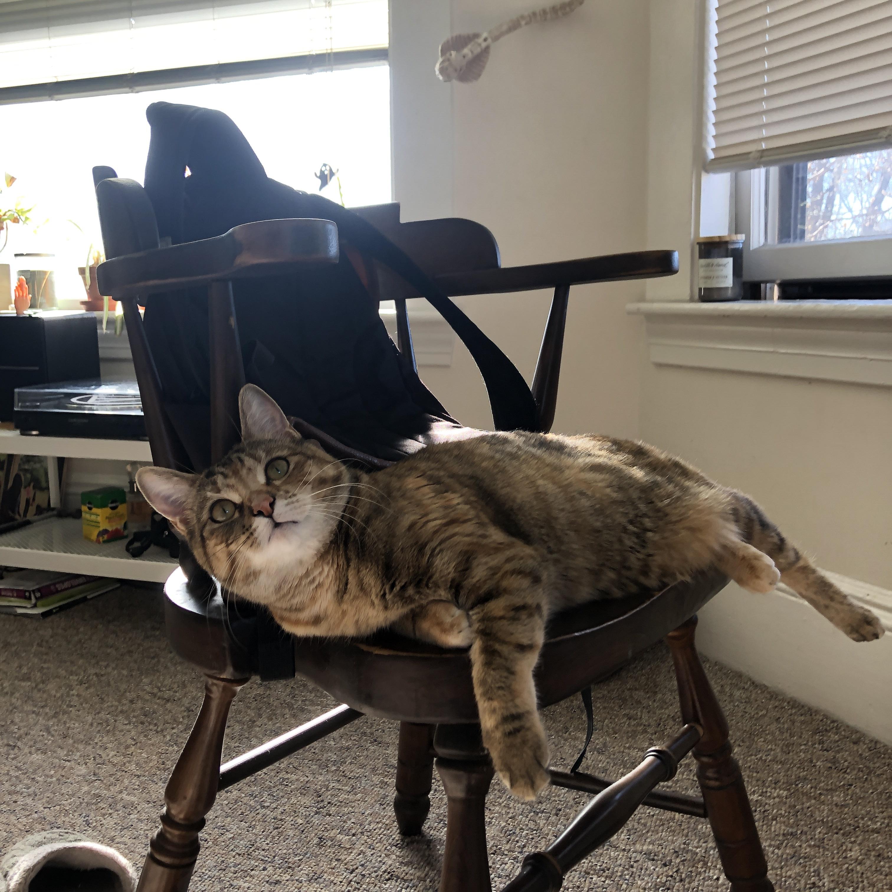 库里末节狂飙统治攻防 勇士险胜国王诠释巨星价值