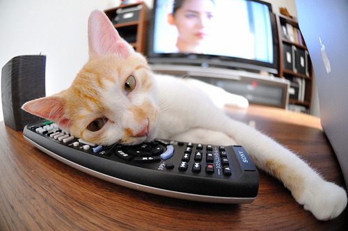 杰伦格林爆发狂飙40分，吉林队铁壁防守锁死开拓者