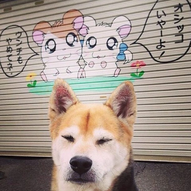 神迹与凡人,当德国铁血筑起蓝桥,梅西在上帝舞台起舞