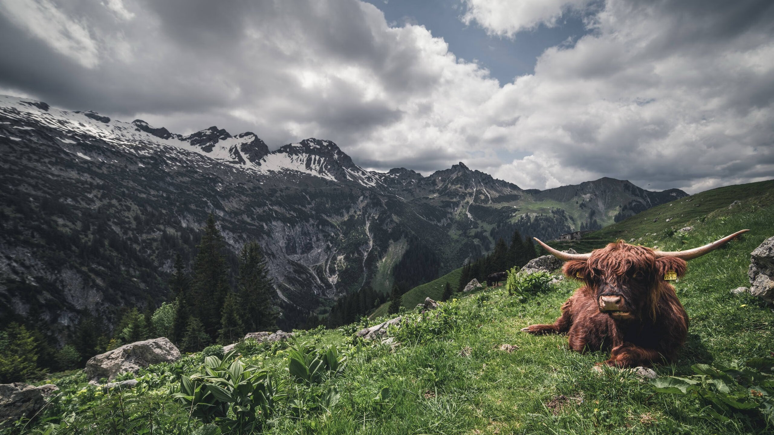 布伦森关键先生显威，湖人淘汰赛惊险过关篮网